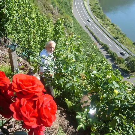 Kleines Winzerhauschen 布雷姆