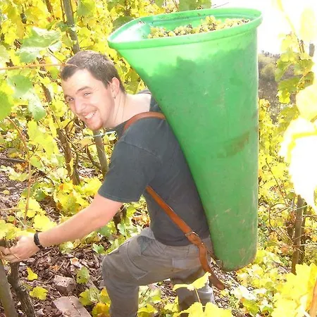 Kleines Winzerhäuschen Ferienhaus Bremm